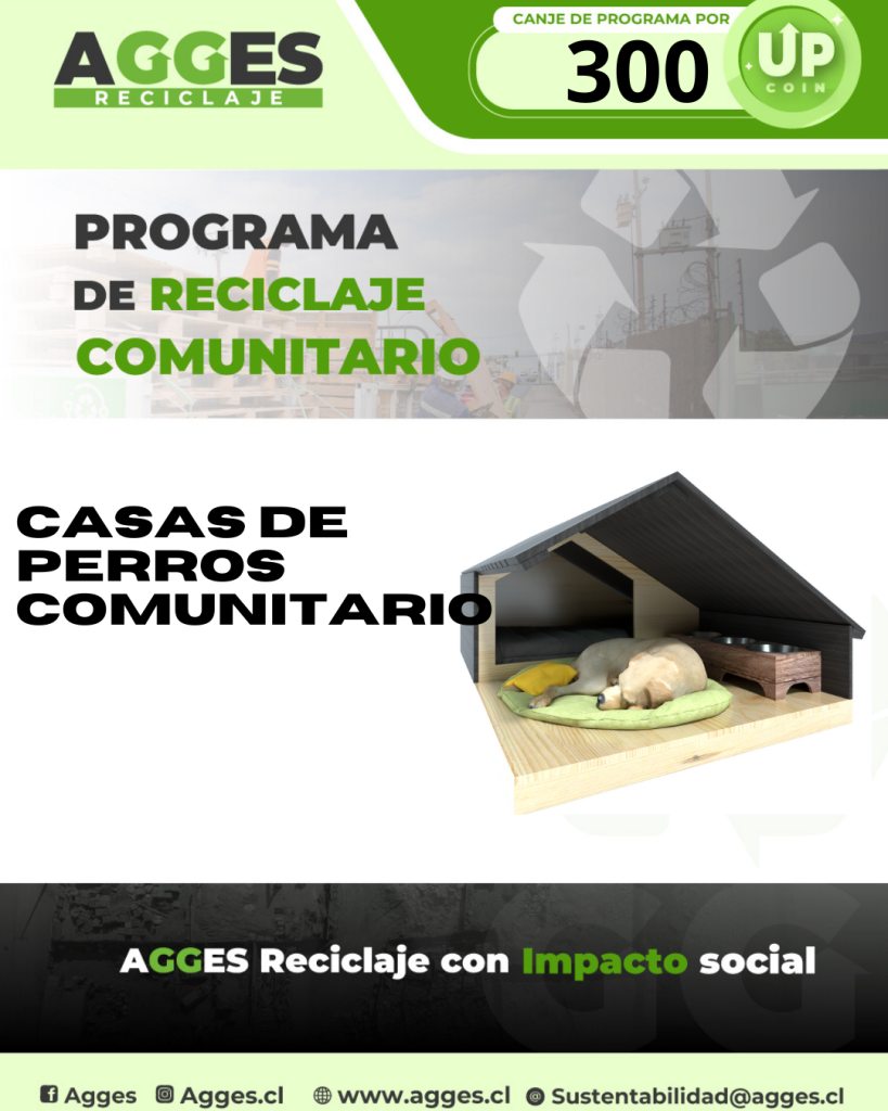 CASAS DE PERRO RECICLADAS